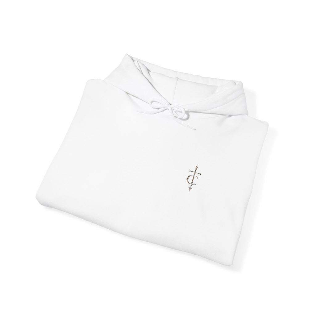 God’s Promise Christian Hoodie – Embroidered Faith-Based Pullover